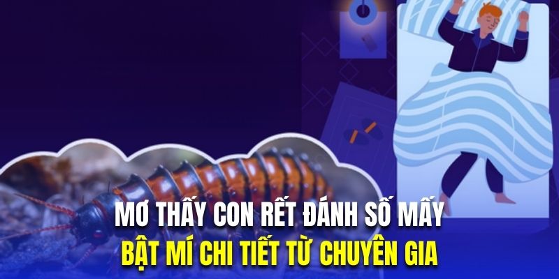 Mơ Thấy Con Rết Đánh Số Mấy